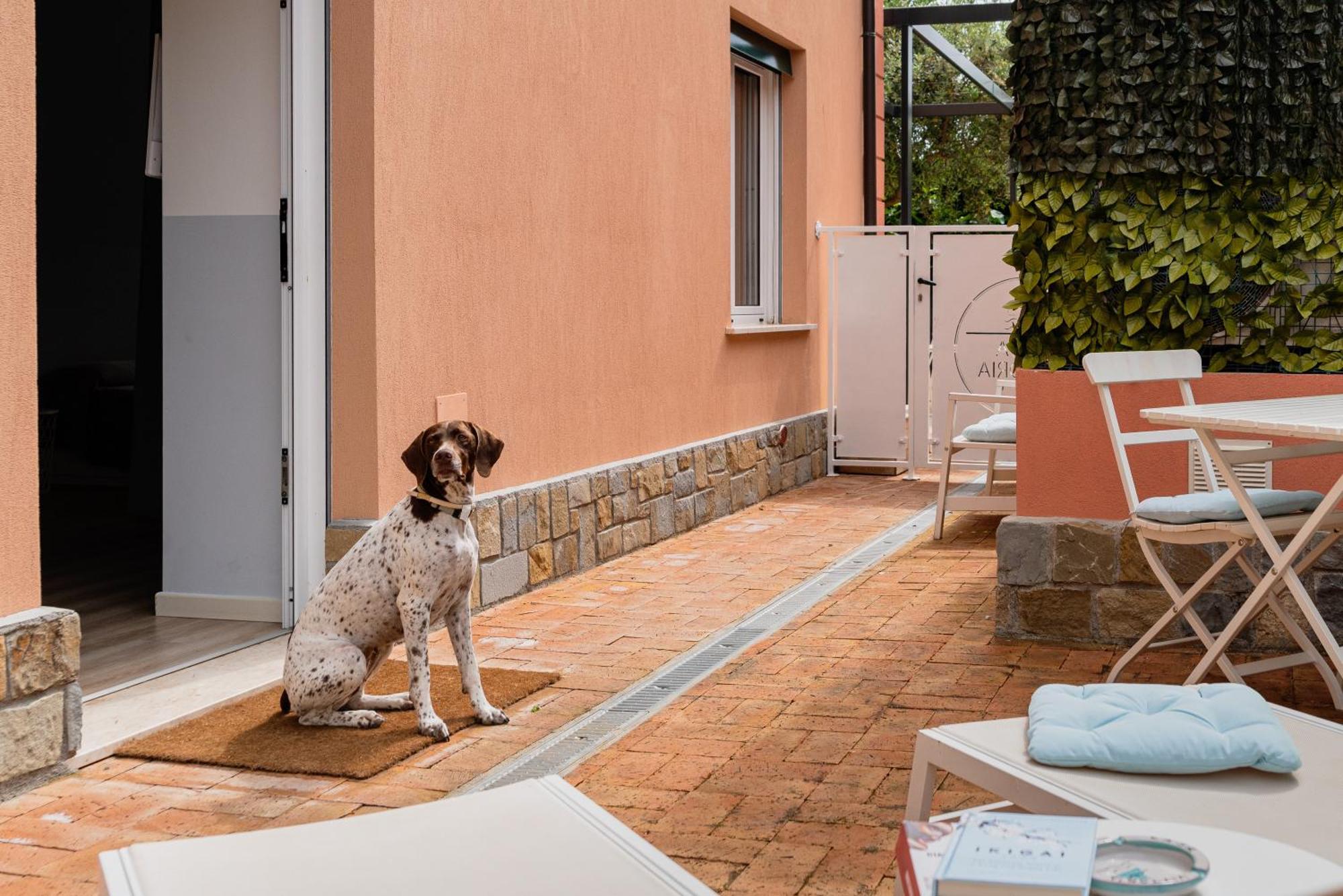 Casa Vittoria Villa Agropoli Eksteriør bilde